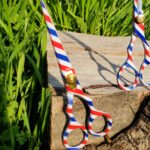 Barber Style Shears