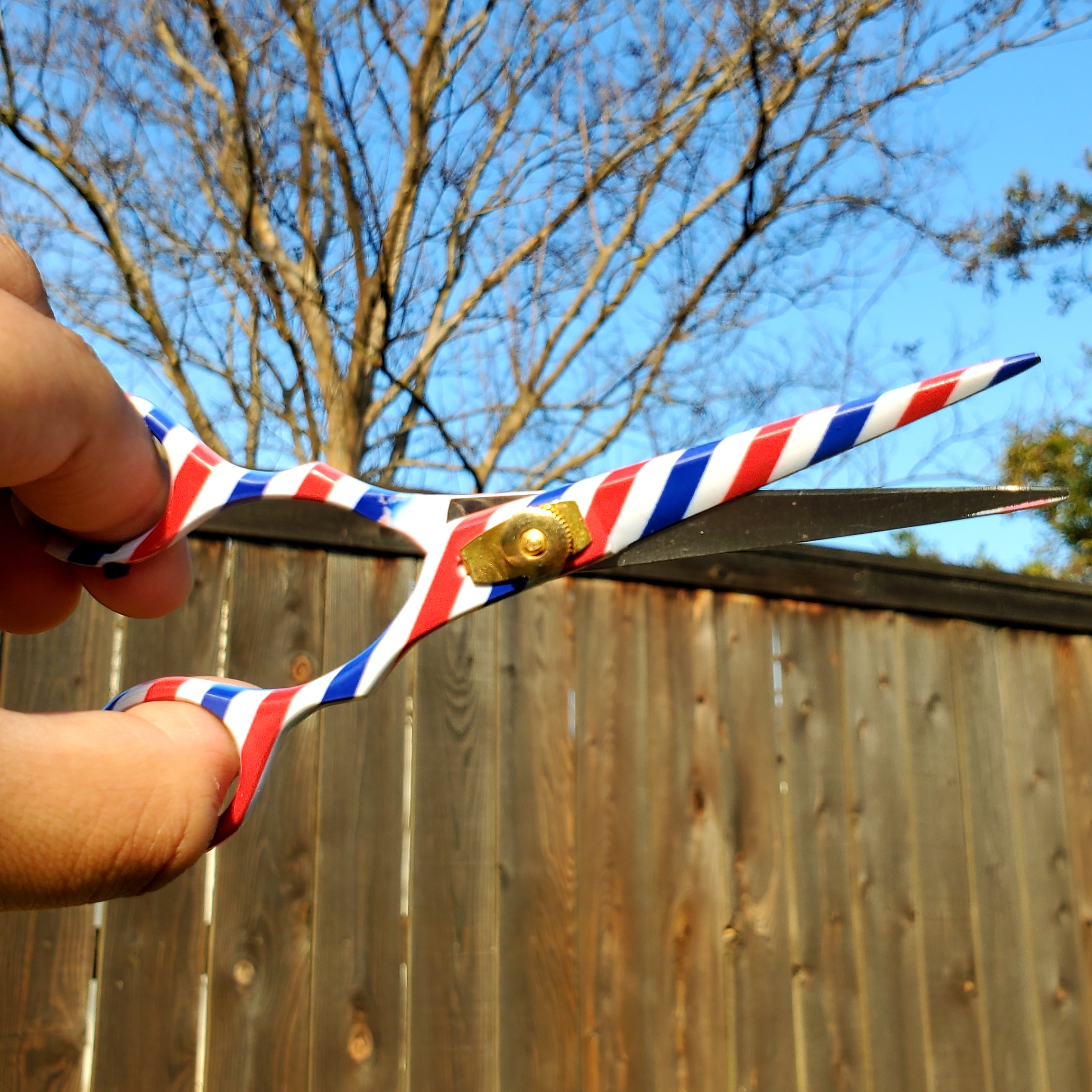 Barber Style Shears